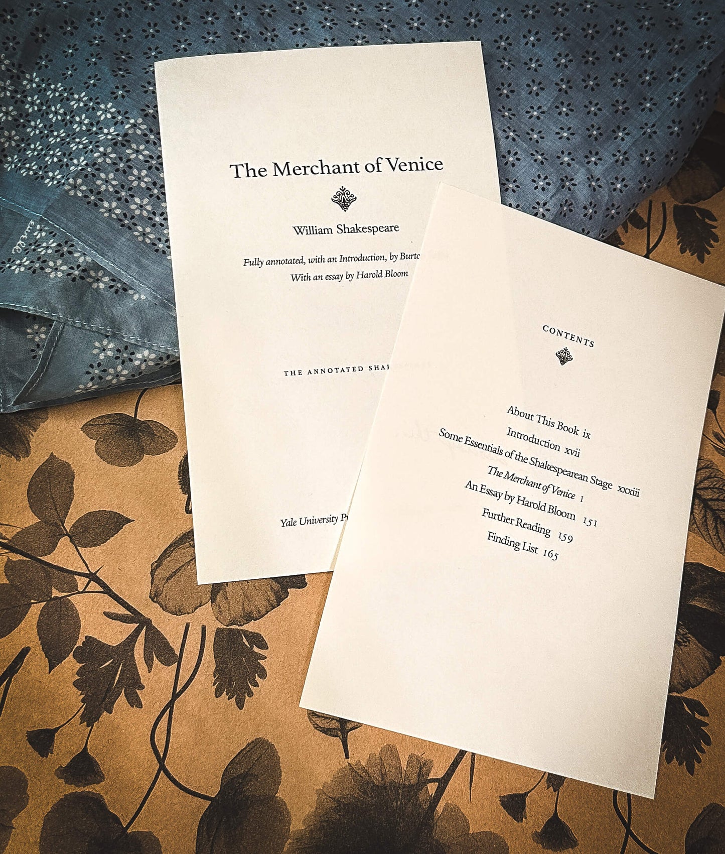 Alice's Merchant of Venice Notes