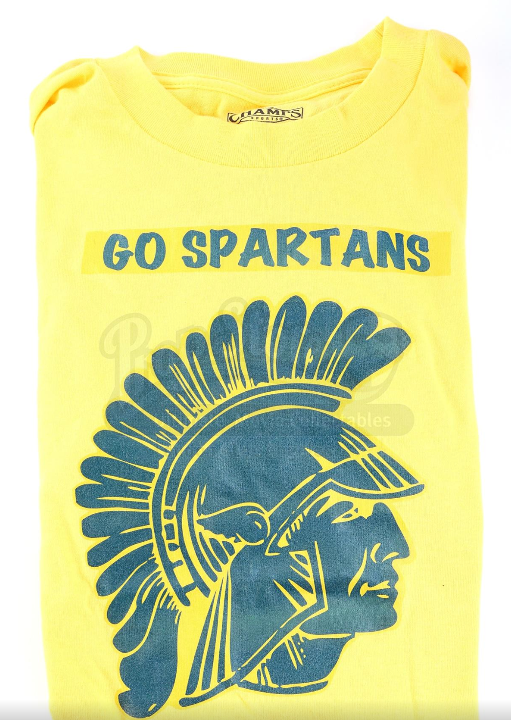 Screen Accurate Spartan T-Shirts (3 Options)