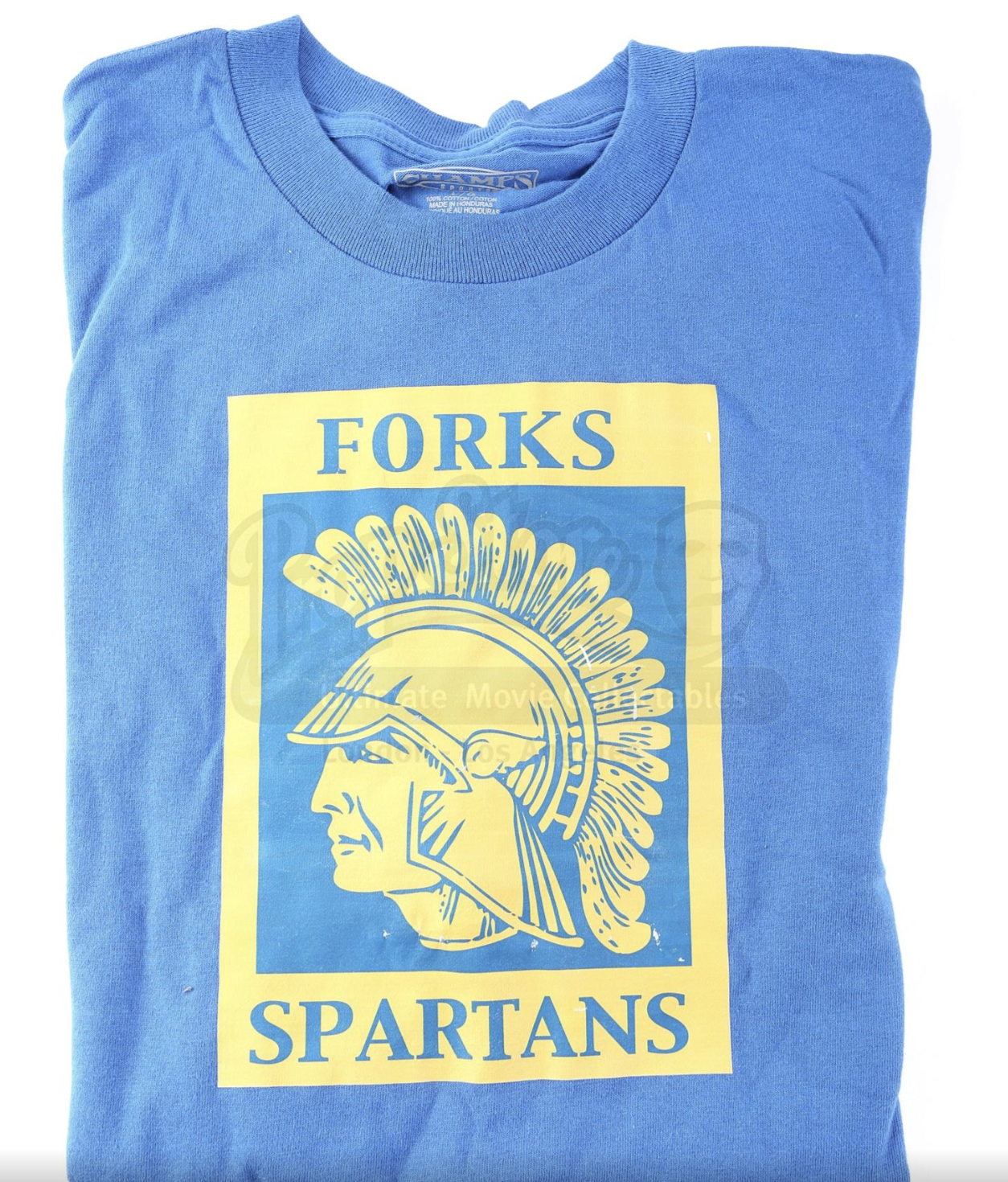 Screen Accurate Spartan T-Shirts (3 Options)